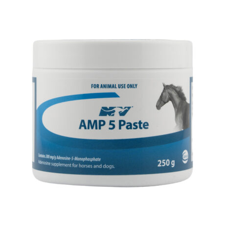 AMP 5 250G Paste