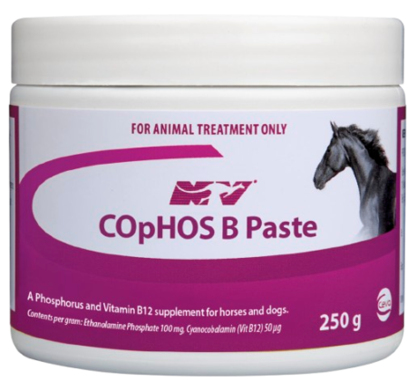 COpHOS B 250G Paste