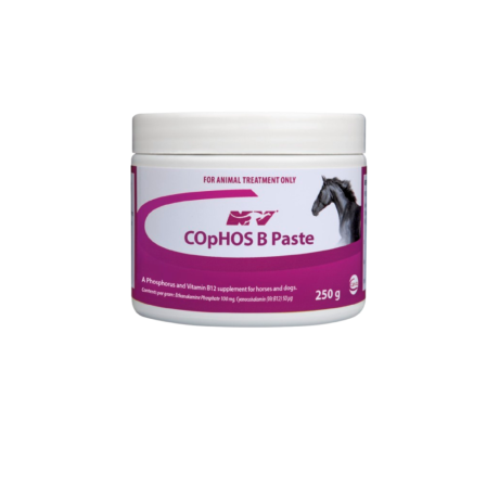 COpHOS B 250G Paste