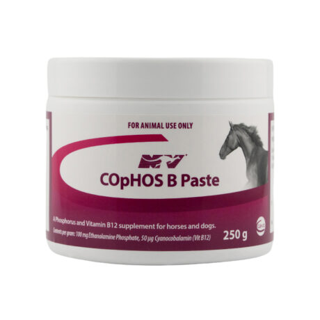 COpHOS B 250G Paste