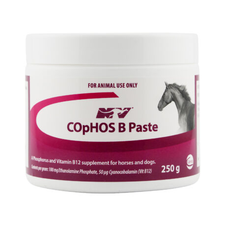 Ceva COpHOS Paste Performance Supplement 250G for Horses