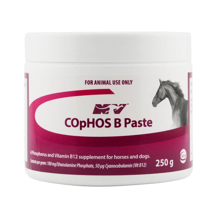 Ceva COpHOS Paste Performance Supplement 250G for Horses