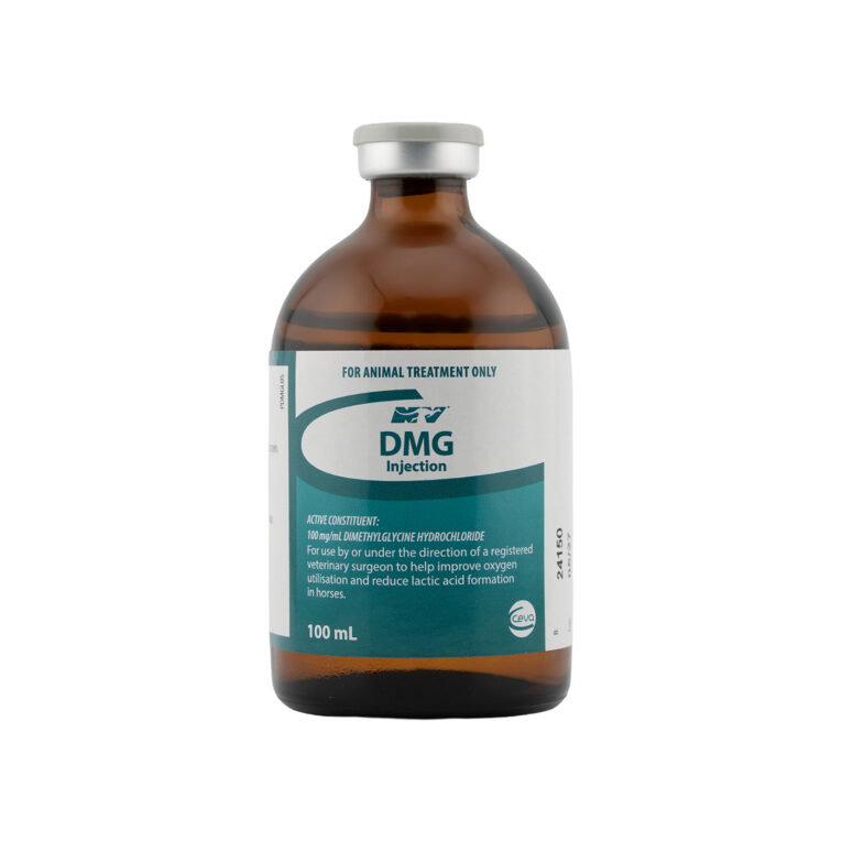 Ceva DMG Performance Supplement Injection 100ML for Horses