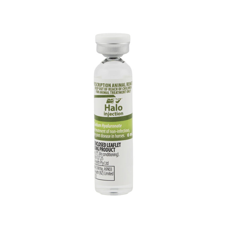 Halo Joint and Bone Support Injection 6ML by CEVA for Horses and Camels