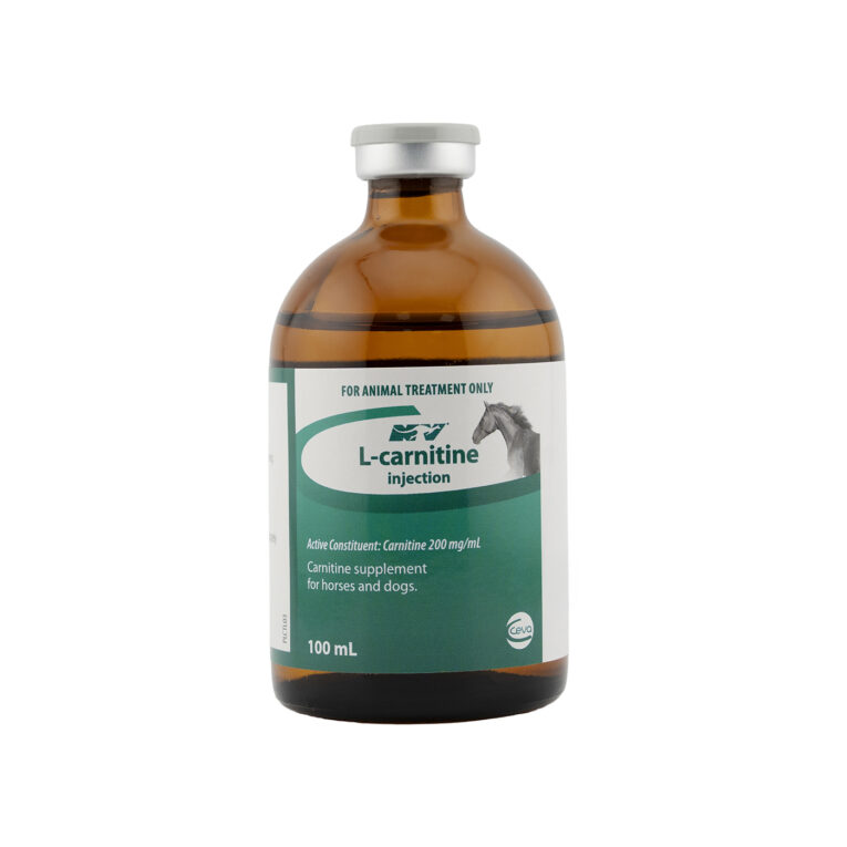 Ceva L-Carnitine Performance Supplement Injection 100ML for Horses