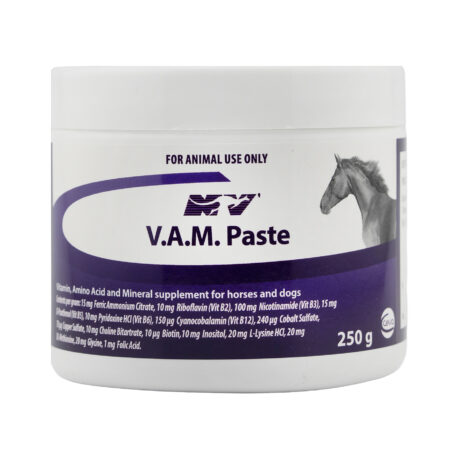 Ceva VAM Paste Performance Supplement 250G for Horses