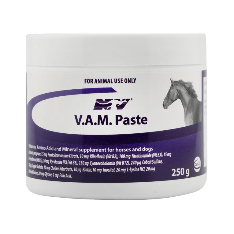 Ceva VAM Paste Performance Supplement 250G for Horses