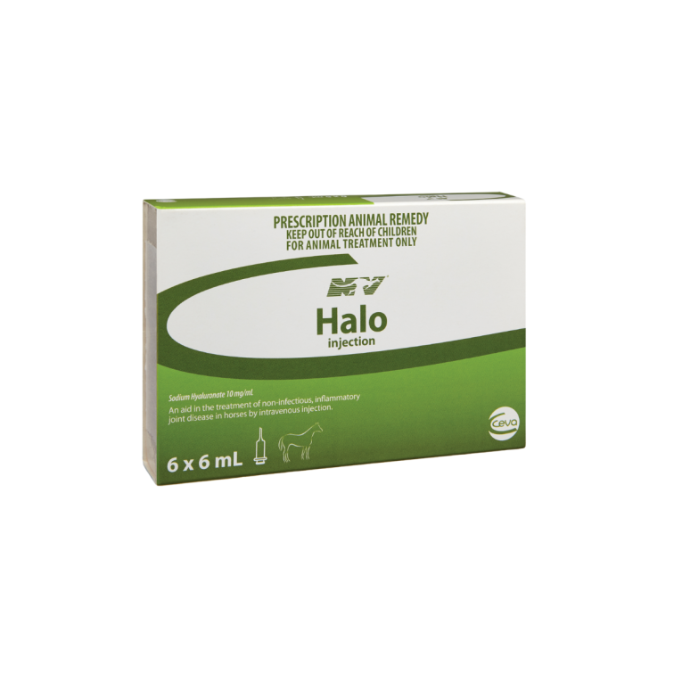Halo 6x6ML Injection