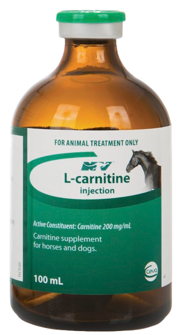 L-Carnitine 100ML Injection