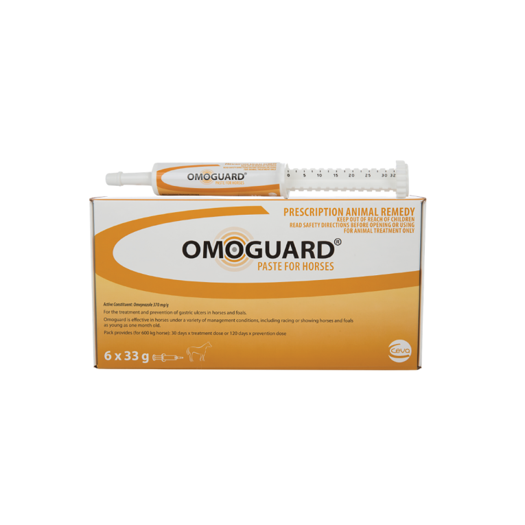 Omoguard 33G Paste