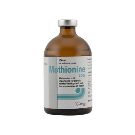 Methionine 20% 100ML Injection