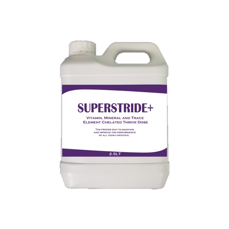 Superstride+ 2.5Ltr