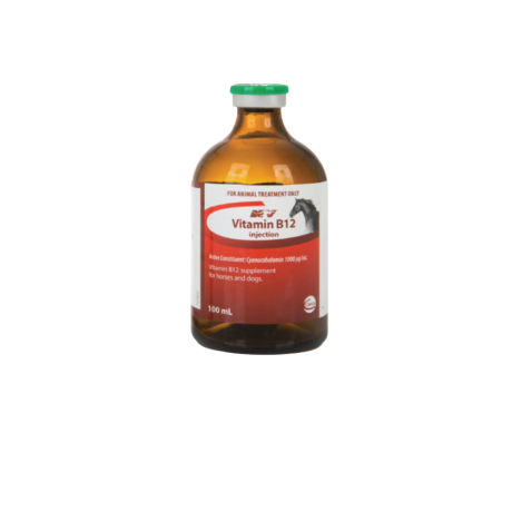 Vitamin B12 100ML Injection