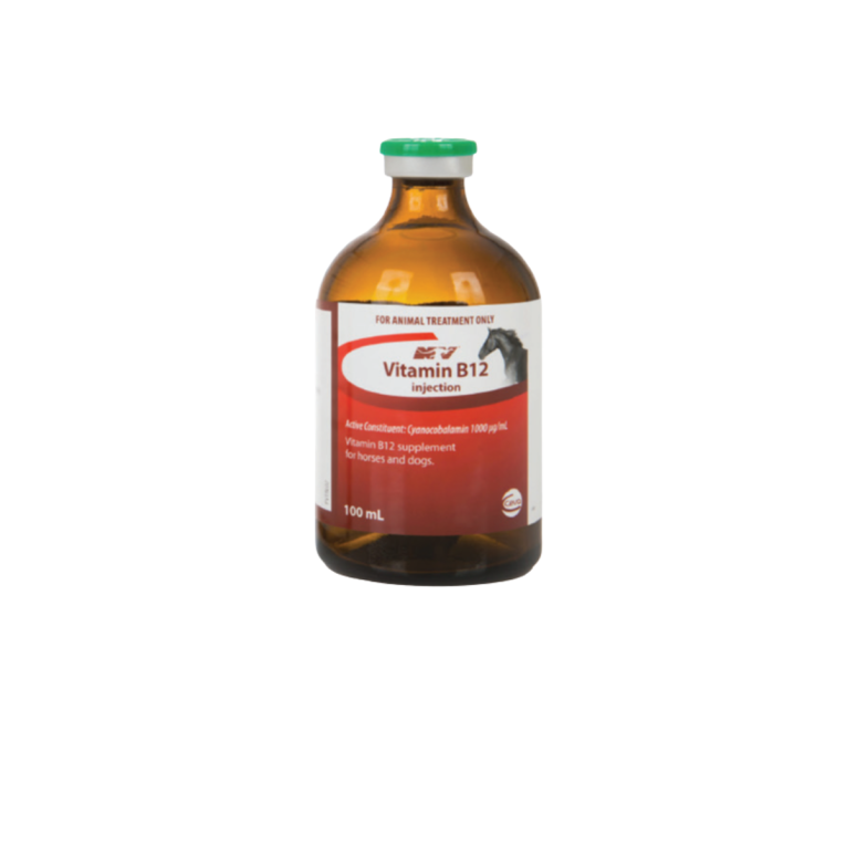 Vitamin B12 100ML Injection