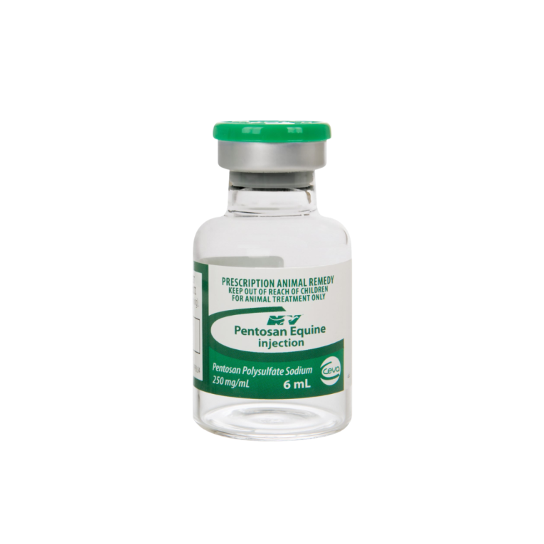 Pentosan Equine 6ML Injection