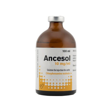 Ancesol 100ML Injection