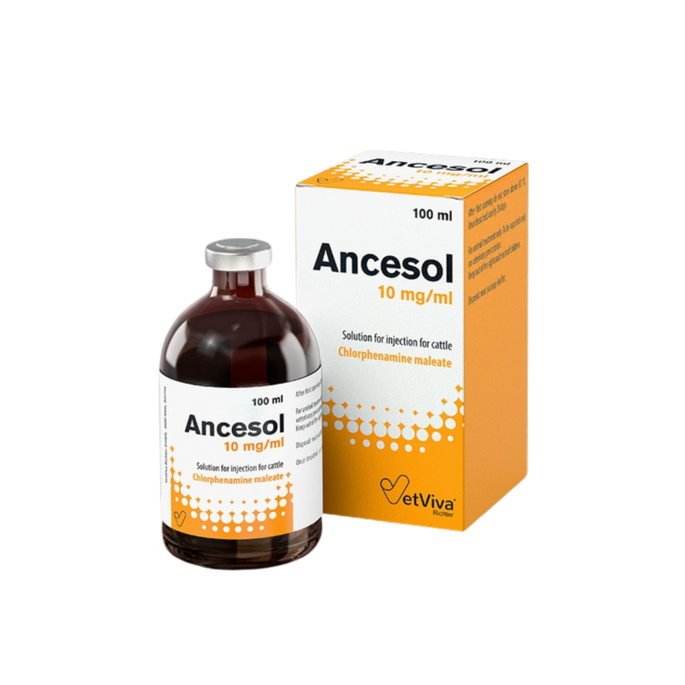 Ancesol 100ML Injection