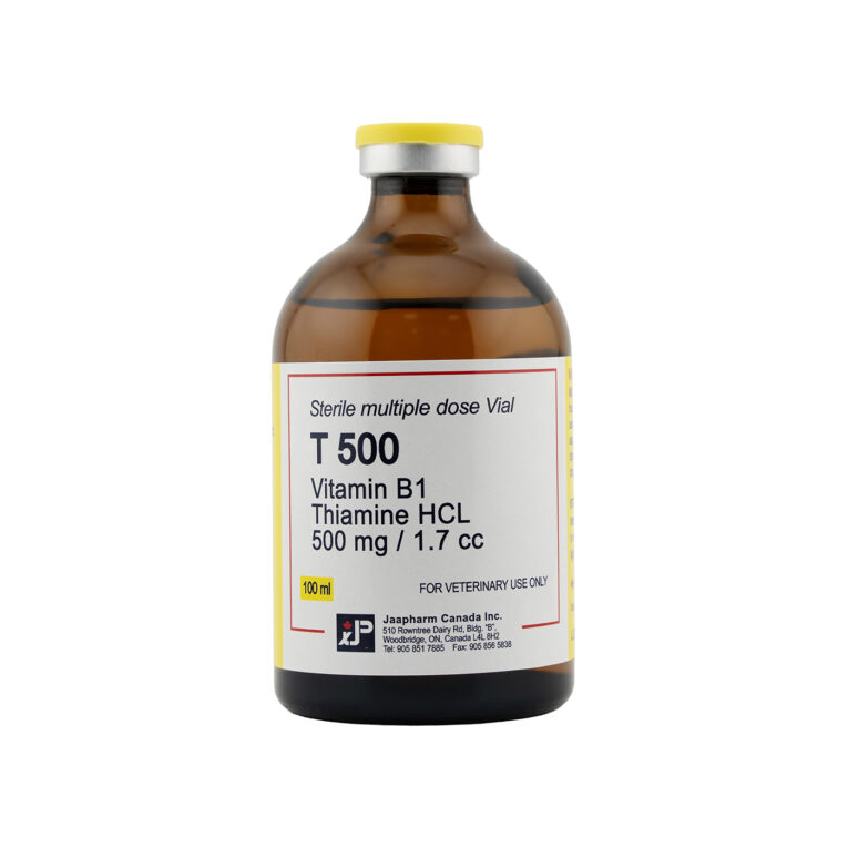Jaapharm T 500 Concentrated Vitamin B1 Injection 100ML for Horses and Cattle