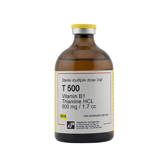 T 500 100ML Injection