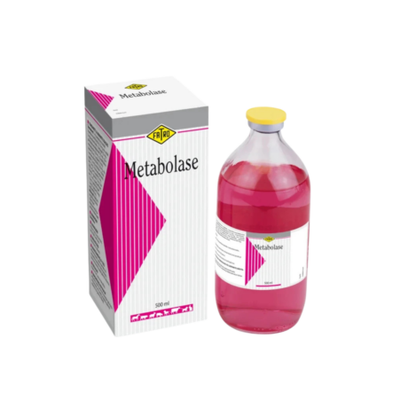 Metabolase Injection 500ML