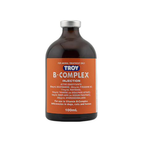 Vitamin B Complex Injection 100ML
