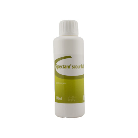 CEVA Spectam Scour Halt 100ml – Oral Antibiotic for Newborn Lambs