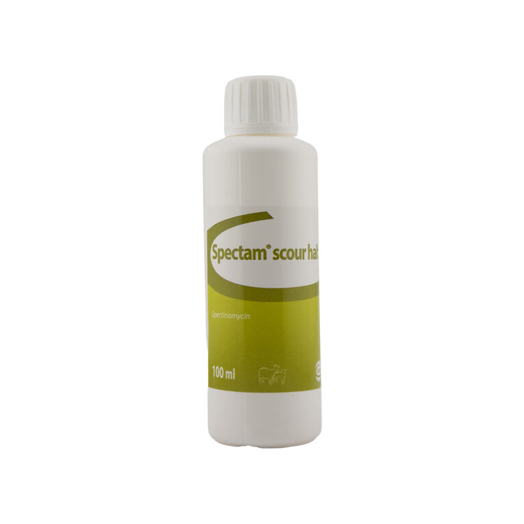 CEVA Spectam Scour Halt 100ml – Oral Antibiotic for Newborn Lambs