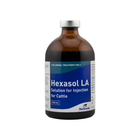 Norbrook Hexasol LA Antibiotic and Anti-Inflammatory Respiratory Disease 100ML Injection for Cattle