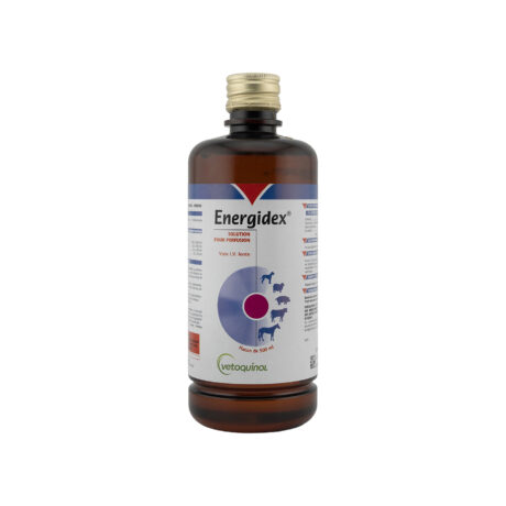 Vetoquinol Energidex Energy Boost and Recovery IV Solution 500ML for Horses, Livestock and Dogs