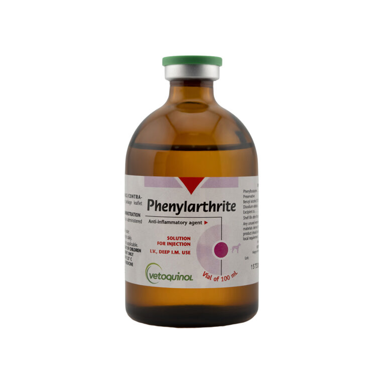 Vetoquinol Phenylarthrite 100ML Injection Anti-Inflammatory for Arthritis, Tendinitis and Lameness in Horses